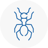 Ant Removals In Axmouth