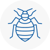 Bed Bug Extermination In Axmouth