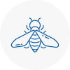 Bee Nest Removal Axmouth