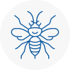 Axmouth Hornet Nest Removals