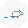 Mice Exterminators In Axmouth