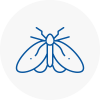 Moth Control Specialists In Axmouth
