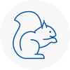 Axmouth Rodent Removals